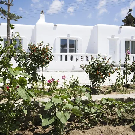 아나이스 아파트호텔 Mykonos Town